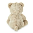 thumbnail image 5 of Spark Create Imagine Bear Plush with Beans and Rattle, 17 in, 0 Months+, 5 of 9