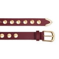 thumbnail image 6 of Fianmy Fashion Leather Belt for Women, Studded Ladies Belts Punk Belt for Jeans Dress, 6 of 7