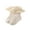 White, variant on Toddlers Baby Girls Ruffled Socks Infant Cotton Ankle Socks with Lacework Socks Decoration Breathable Kids Socks Accessories