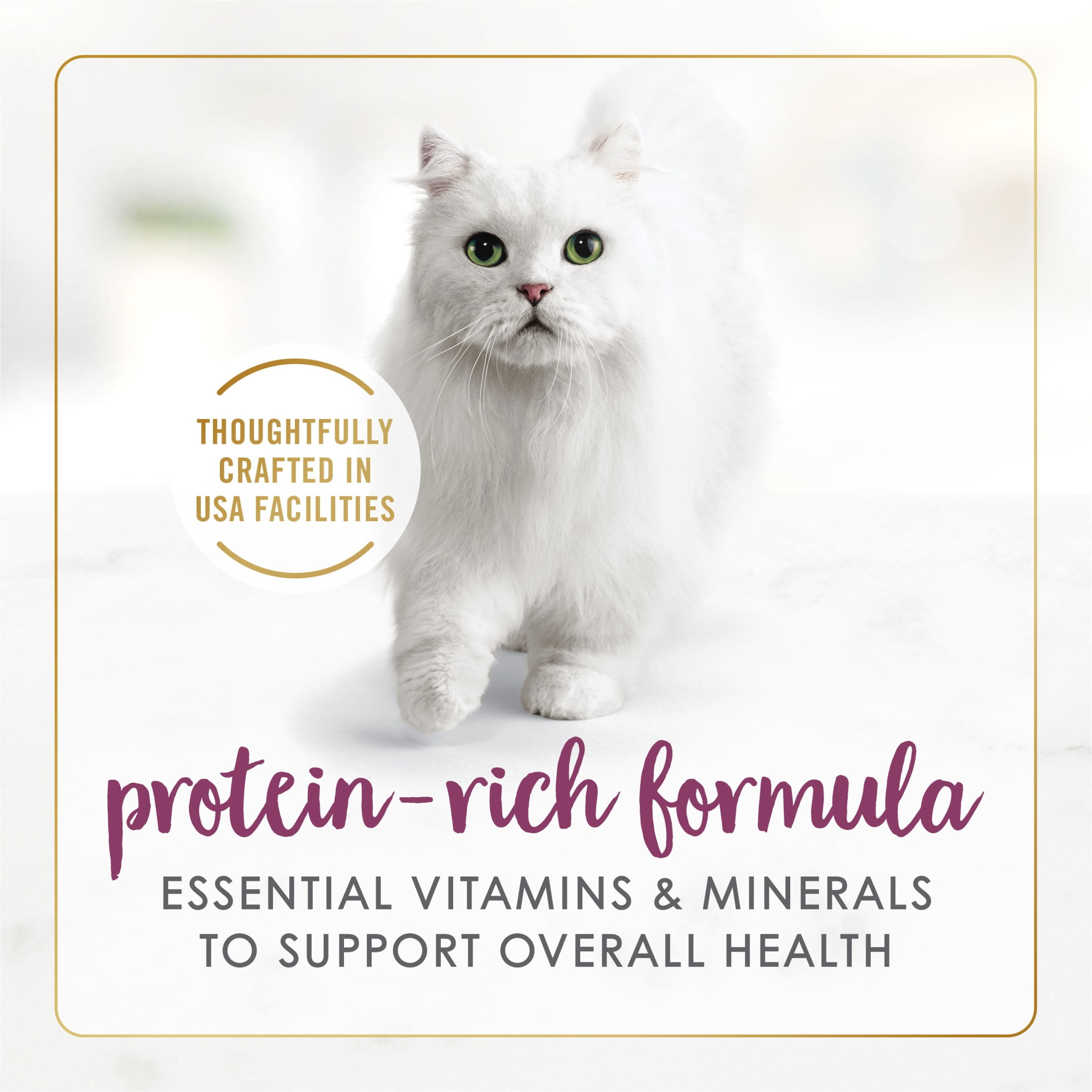 (2 pack) Purina Fancy Feast Grilled Wet Cat Food Chicken Feast in Wet Cat Food Gravy, 3 oz.