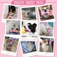 thumbnail image 2 of Chew Toys Petcare, paquete de 6 unidades, para perrito yorkie en proceso de dentición, 2 of 8