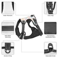 thumbnail image 3 of Vsdgher Happy Easter Pattern Dog Harness,No Pull Pet Harness with Soft Padded Handle,Adjustable Reflective Vest with 2 Buckles,4 Slide Buckles,S-XL, 3 of 5