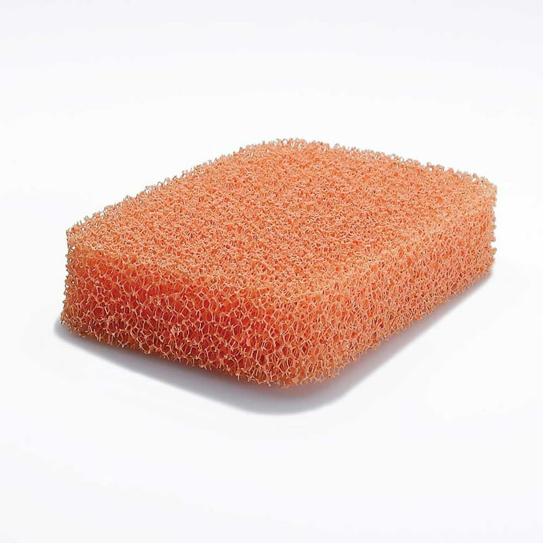 Peachy Clean Fragrance Free Silicone Kitchen Dish Scrubbing Sponge – Handy  Housewares