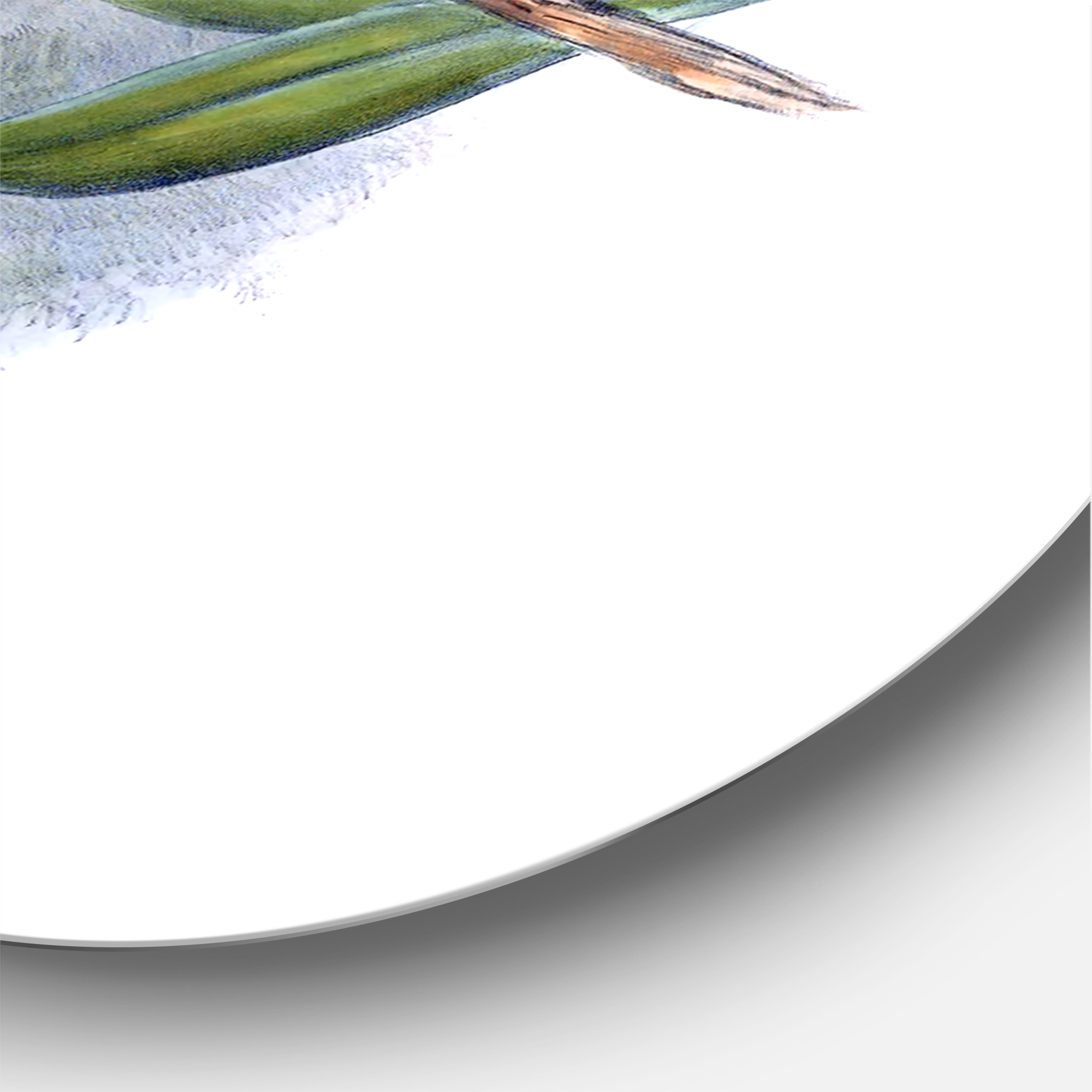 Designart 'Ancient Hummingbird On A Branch' Traditional Circle Metal Wall Art 29x29 - Disc of 29