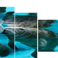 thumbnail image 4 of 5 Unids De Animal Print Pintura Imagen Pintura hogar Colgando De Decorac Morsa Colco Sin marco PVC Wall Art Painting, 4 of 8