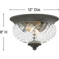 thumbnail image 2 of Hinkley 2128MB Plantation Collection Two Light Outdoor Small Flush Mount, Museum Black, 2 of 2