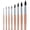 Champagne, variant on Transon 8pcs Round Watercolor Paint Brush Set for Watercolors,Acrylics,Inks,Gouache,Oil and Tempera