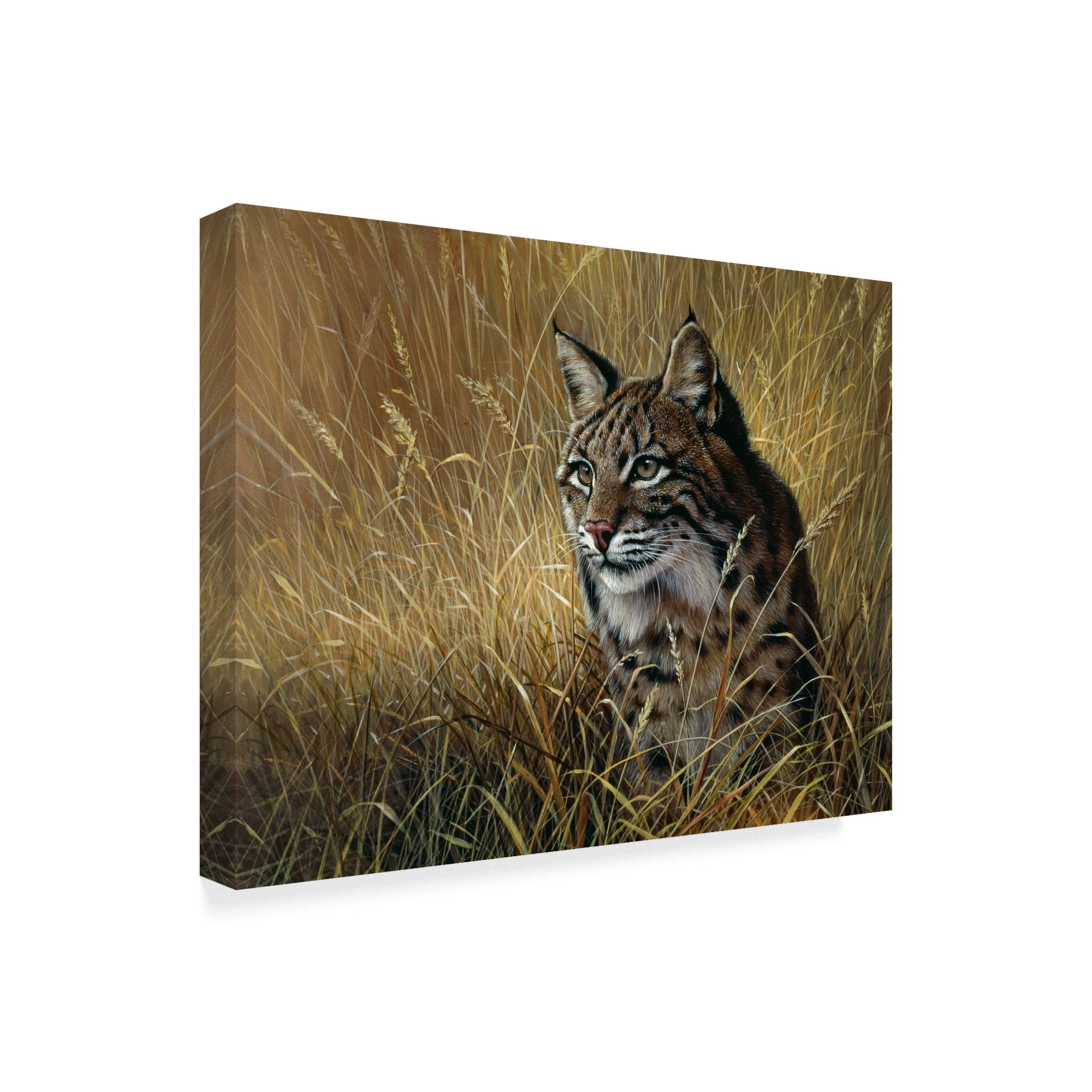 Trademark Fine Art 'Bobcat In Grass' Canvas Art by Harro Maass