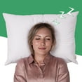 GOGREEN Waterproof Pillow Protectors with Zipper Queen Size 20"x30