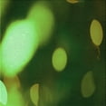 thumbnail image 1 of Ahgly Company Machine Washable Indoor Square Transitional Dark Forest Green Area Rugs, 6' Square, 1 of 7