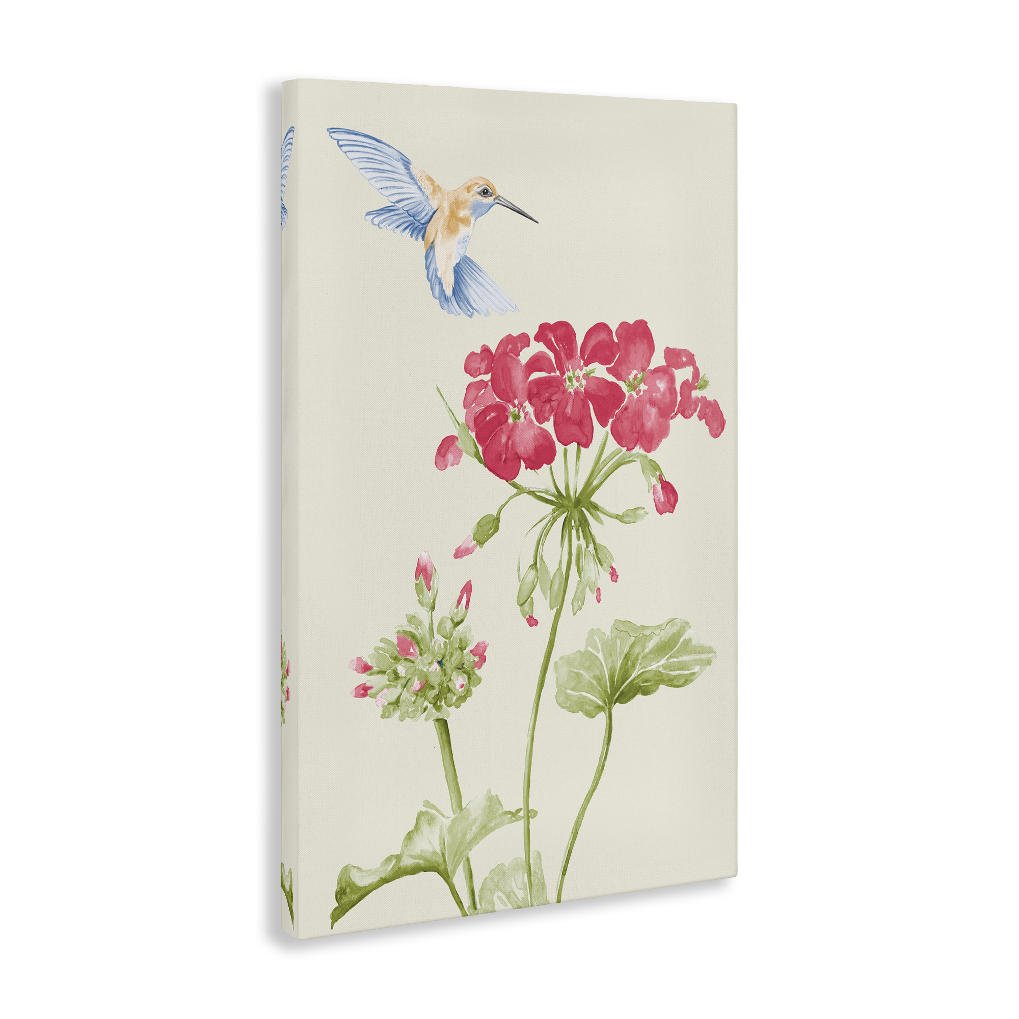 Stupell Industries Geraniums & Hummingbird Botanical & Floral Painting Gallery Wrapped Canvas Art Print Wall Art, 30 x 45