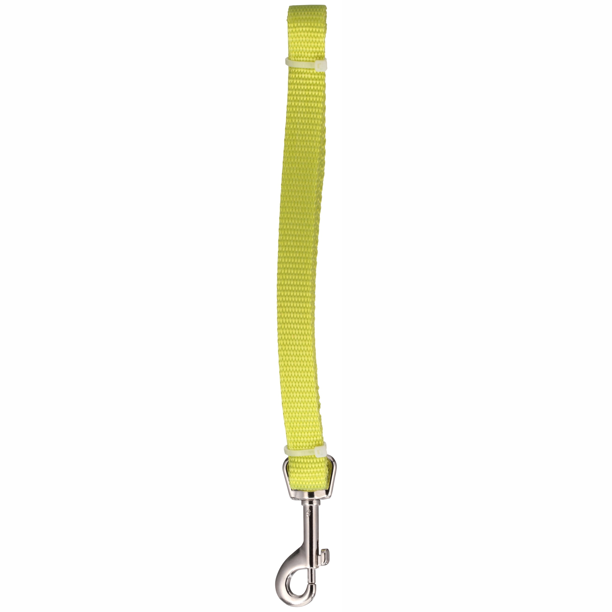 Pet Wear Green 5 ft. Medium Dog Leash