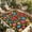 Red, variant on Boho Flower Outdoor Rug for Patio/Deck/Porch, Non-Slip Large Area Rug 5 x 8 Ft, Red Blue Yellow Colorful Mexico Tribal Indoor Outdoor Rugs Washable Area Rugs, Reversible Camping Rug Carpet Runner