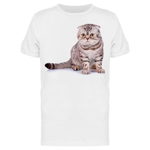 Kitten Sitted On His Back Legs Tee Men's -Image by Shutterstock Men's T-shirt