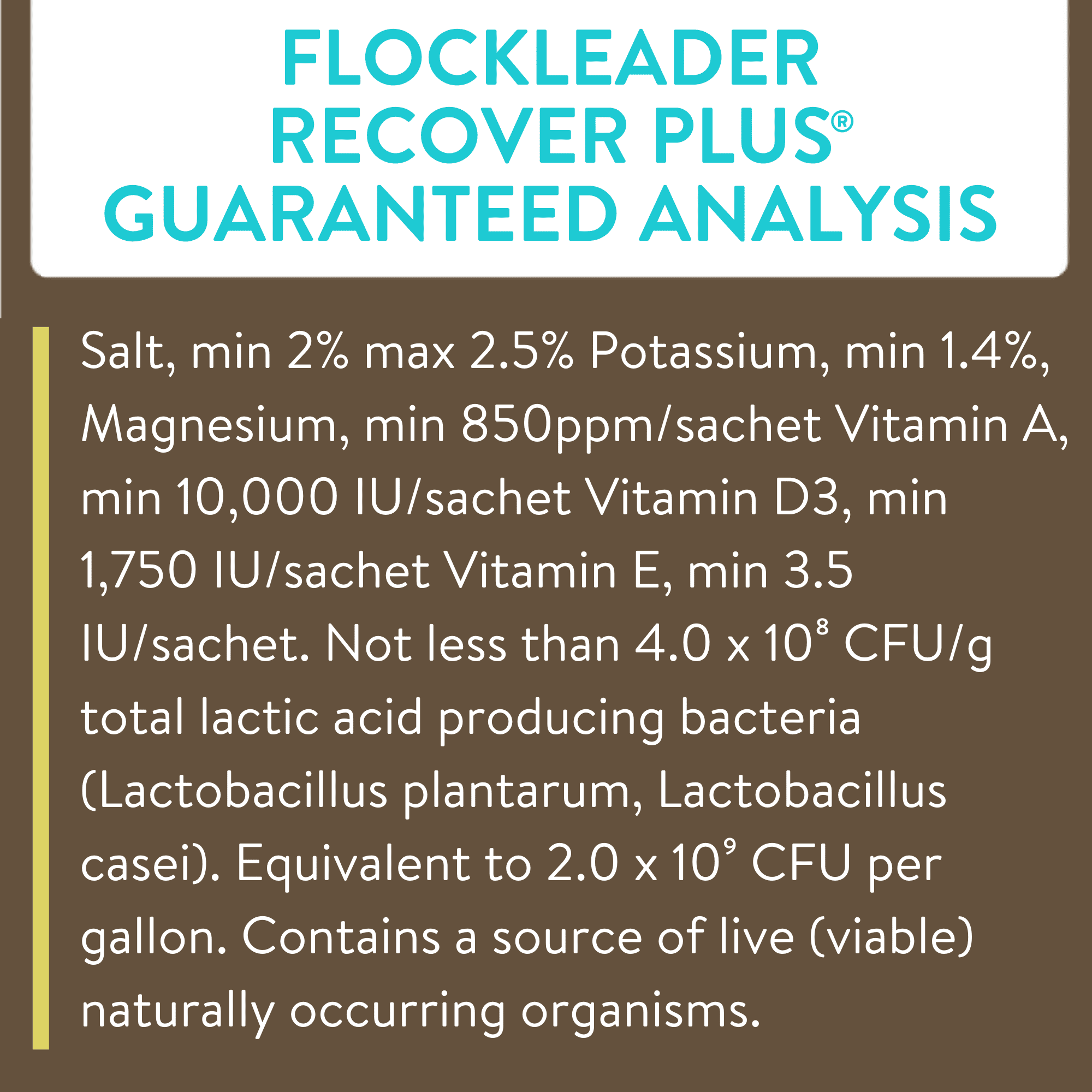 FlockLeader Recover Plus Poultry Supplement for Chickens, 2.5 Ounce