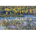 thumbnail image 2 of Paulson, Don 14x11 Black Ornate Wood Framed with Double Matting Museum Art Print Titled - WY, Grand Tetons Swans and forest reflection, 2 of 4