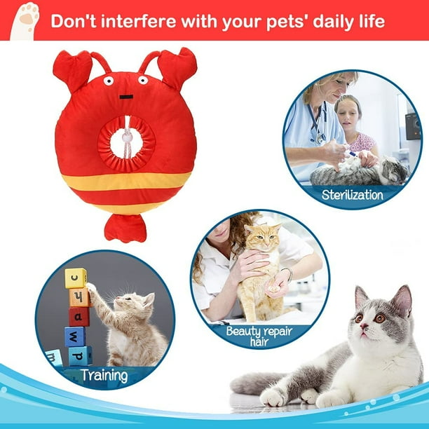 Kitten store e collar