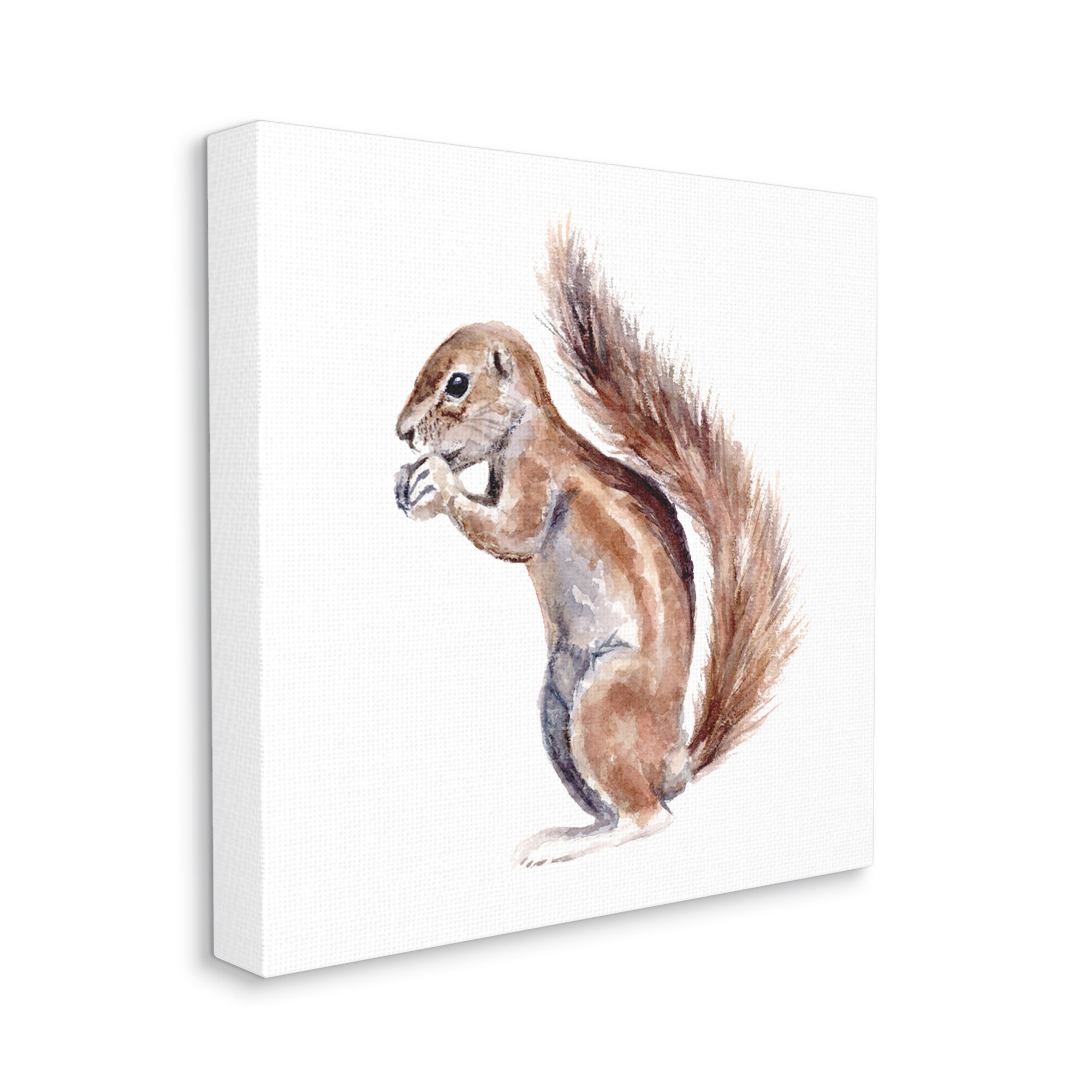 Stupell Industries Baby Squirrel Watercolor Painting Kids' Wild Animal, 17 x 17,Design by Fox Hollow Studios