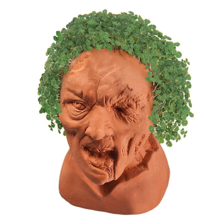 Chia Pet Zombie Creepy Holden - Decorative Pot Planter with Chia