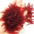 thumbnail image 3 of Mefallenssiah 50Pcs Fishing Bait Soft Belly Chest fork Dice Simulation Earthworm, 3 of 4