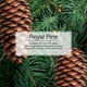 thumbnail image 5 of Ambientador en papel 3 pack Royal Pine, 5 of 7