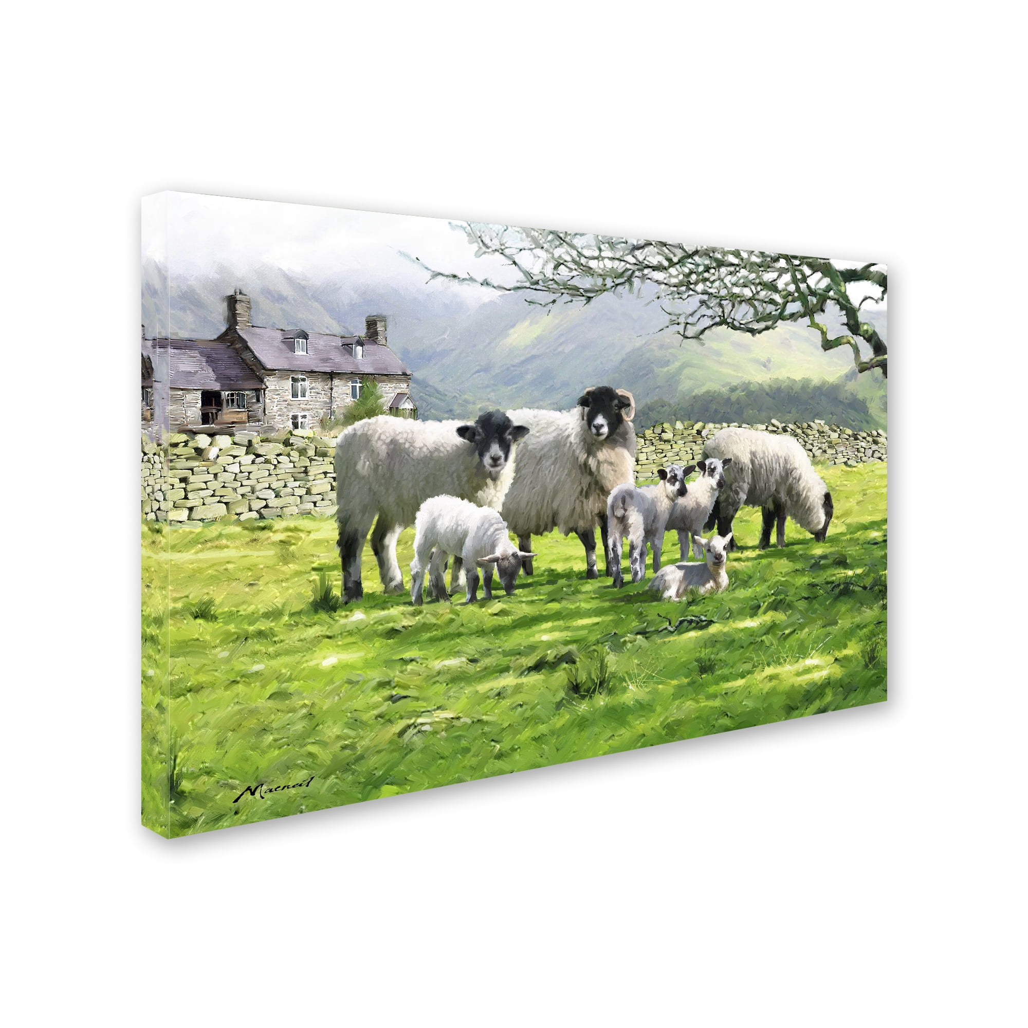 Trademark Fine Art 'Black Mountain Sheep Landscape' Canvas Art by The Macneil Studio