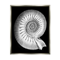 Stupell Industries Spiral Sea Life Beach Shell Modern Fractal Graphic Art Luster Gray Floating Framed Canvas Print Wall Art, Design by Graffitee Studios