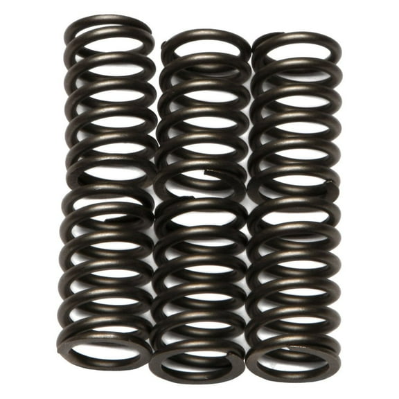 EBC CSK88 - CSK Series Heavy Duty Clutch Spring Kit