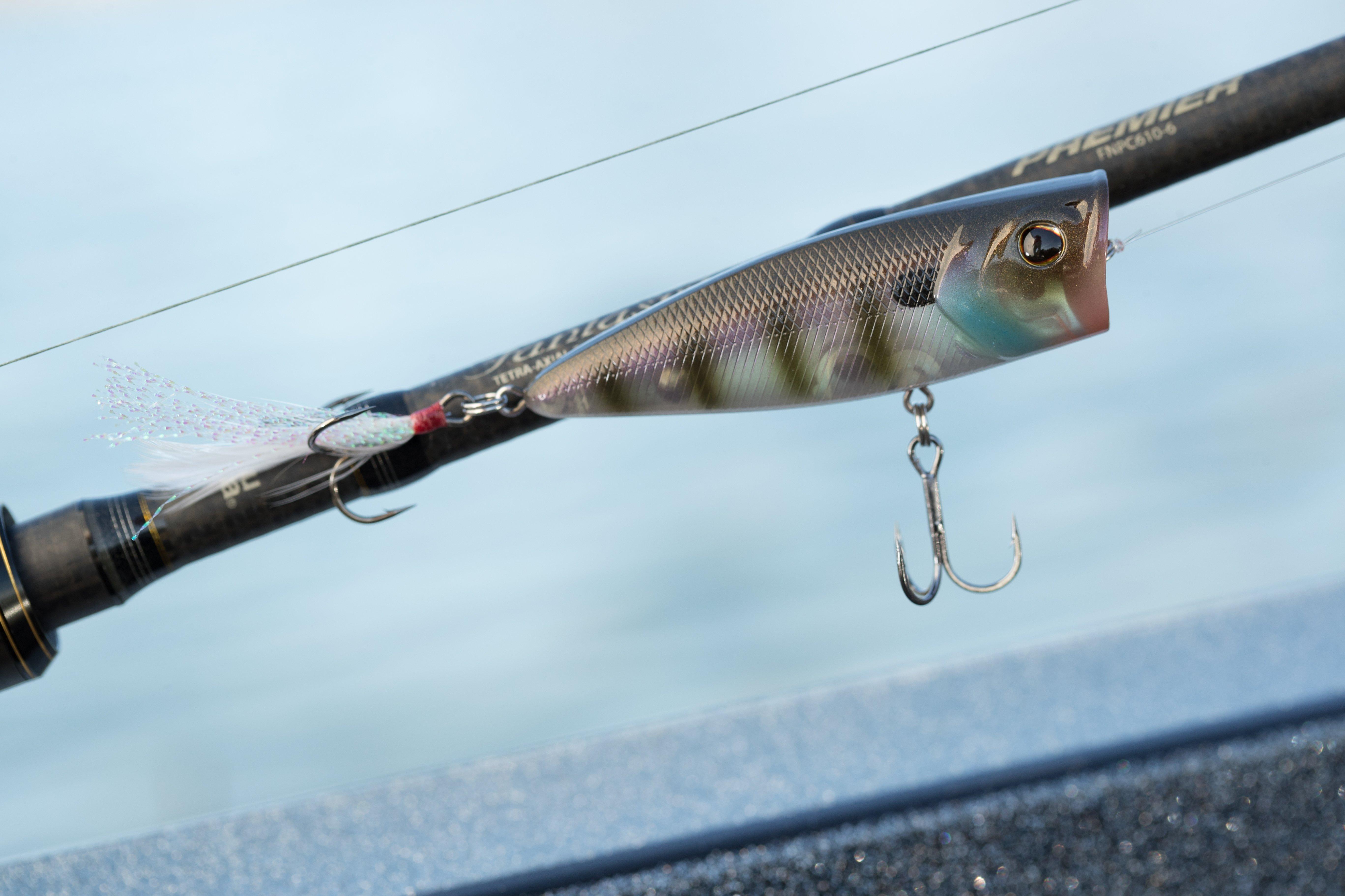 Berkley Bullet Pop Topwater Fishing Lure, MF Shad, 2/5 oz