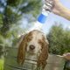 thumbnail image 2 of Portable Pet Shower Head Silicone Outdoor Cleaning Sprayer For Dogs Cats Attachable to Water Bottles, 2 of 5