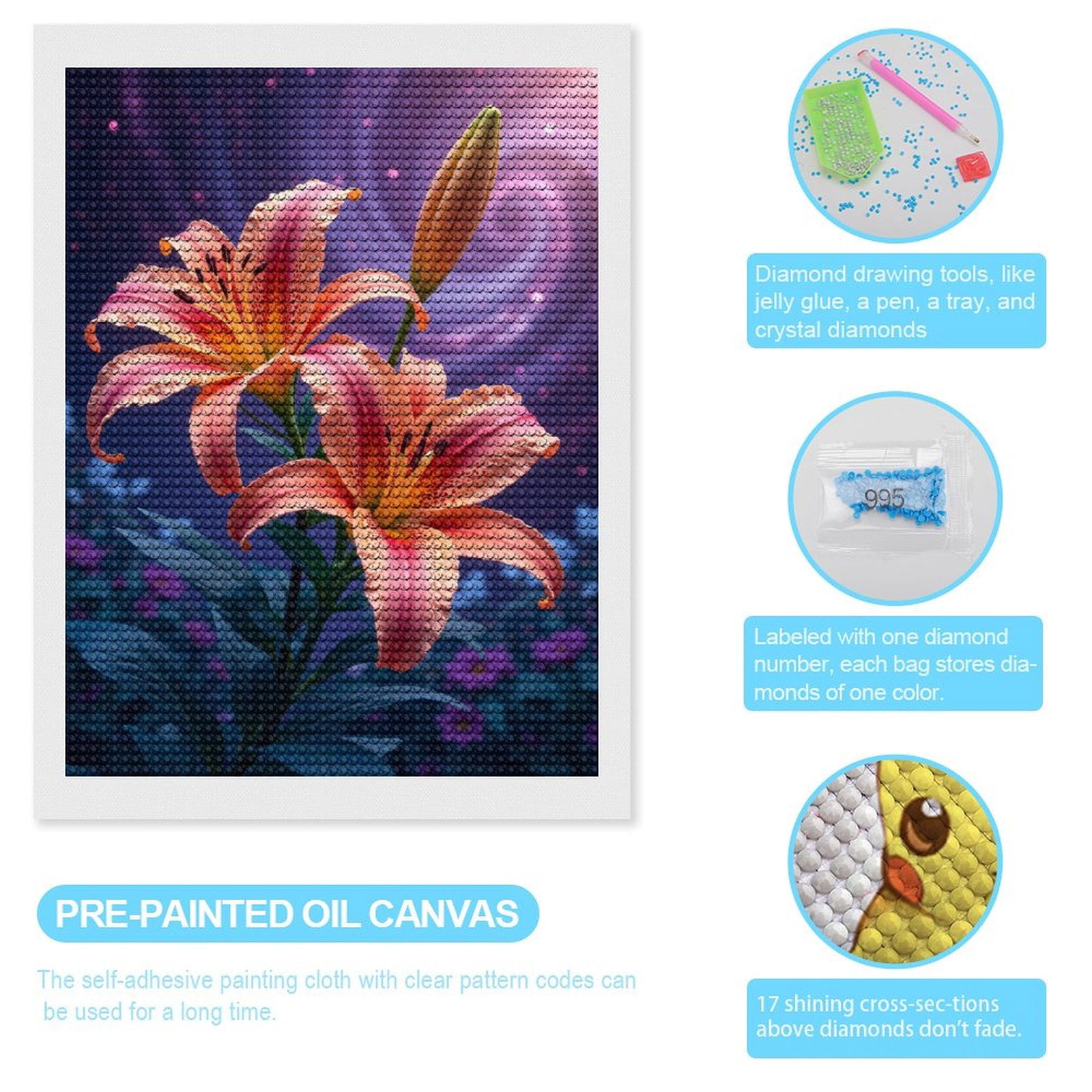 Diamond Art Kits for Adults, Vibrant Lily Flowers Cosmic Background 5D Diamond Painting Kits for Adults Beginners, DIY Full Drill Diamond Painting, Gem Art and Crafts 12x16