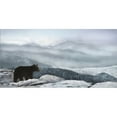 thumbnail image 2 of Great Art Now Cascade Mountain Bear by Lori Deiter, Framed Wall Art, 31W x 19H, 2 of 2