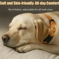 thumbnail image 4 of Pawliberation Magnetic Dog Collar, Magnetic Dog Collar, Pawliberation for Dogs, Material + Heavy-Duty Buckle, Double Layer Reflective Do𝐠 Collar Waterproof, Perfect for Senior Dogs (C2), 4 of 9