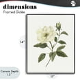 thumbnail image 4 of Stupell Industries Traditional Ivory Rose Bloom With Green Foliage Black Framed Giclee Art, 11 x 14, by Nan, 4 of 8