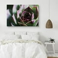 thumbnail image 2 of PixonSign Canvas Print Wall Art Blossoming Rose Succulent Floral Wilderness Photography Realism Glam Closeup Colorful Multicolor Ultra for Living Room, Bedroom, Office - 12"x18", 2 of 5