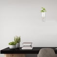 thumbnail image 2 of Hydroponic Wall Hanging Vase Plant Terrarium House Plants Indoor Decorate Small Glass Vases, 2 of 6