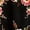 Floral Black 3, variant on Women's Plus Size Floral Print A-Line Midi Skirt Black