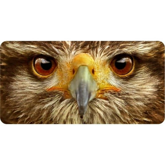 Owl Eyes Photo License Plate