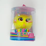 Sand Jelly Squeezable Large Assorted Case