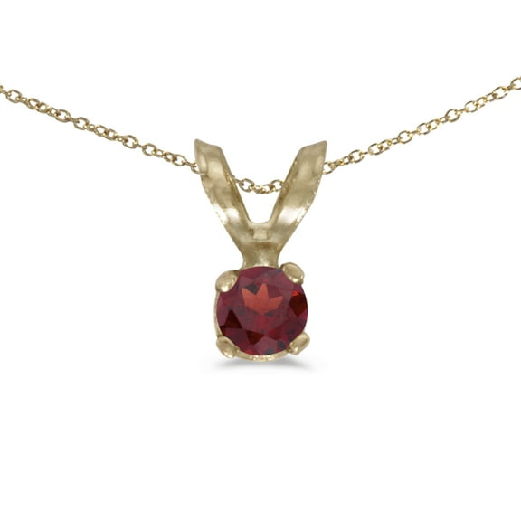 14k Yellow Gold Round Garnet Pendant with 18" Chain