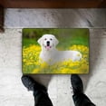 thumbnail image 3 of Dreamtimes Doormat Beautiful Golden Retriever Dog Lying Outdoors Lightweight Non Slip Indoor Outdoor Entryway Rugs Floor Mat for Bathroom Kitchen Entrance 31x20in, 3 of 6