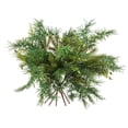 thumbnail image 4 of Vickerman 18" Artificial Mixed Fern Cedar Spray. Includes 6 sprays per pack., 4 of 5