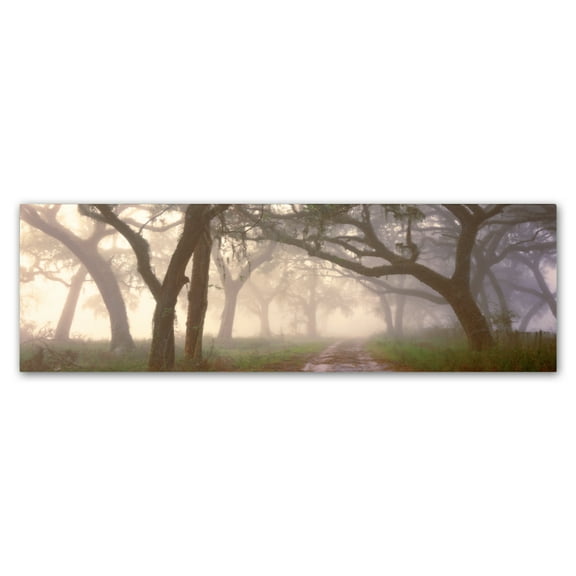 Trademark Fine Art 'Dawns Early Light' Canvas Art by Doug Cavanah
