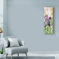 thumbnail image 3 of Trademark Fine Art 'Black Iris Colors' Canvas Art by Sharon Pitts, 3 of 3