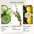 thumbnail image 4 of Homeidcs SereneScent™ Cucumber Sage 15ml Home Fragrance Essential Oil, 4 of 5