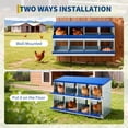 thumbnail image 6 of Lumiparty 8-Compartment Galvanized Steel Chicken Nesting Box with Rollaway Design, Blue, 6 of 7
