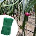 thumbnail image 6 of MAGIDEAL 100Pcs Green Heavy Duty Plant Support for Bag Bundle Tying Plants, 6 of 8