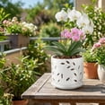 thumbnail image 2 of EFISPSS orchid pot with holes，5+6 inch Ceramic plant pots with holes and tray,promoting air circulation and drainage,indoor/outdoor white flower pot，Set of 2, 2 of 8