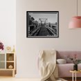 thumbnail image 3 of Historic Framed Print, Weidemeyer Bridge, Spanning Thomes Creek at Rawson Road, Corning vicinity, Tehama County, CA - 6, 17-7/8" x 21-7/8", 3 of 9