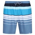 thumbnail image 1 of Regatta Mens Loras Striped Swim Shorts, 1 of 5